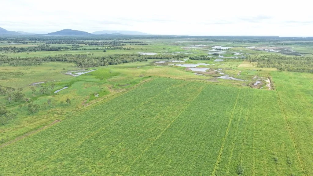 Additional image 23 of Giru QLD 4809