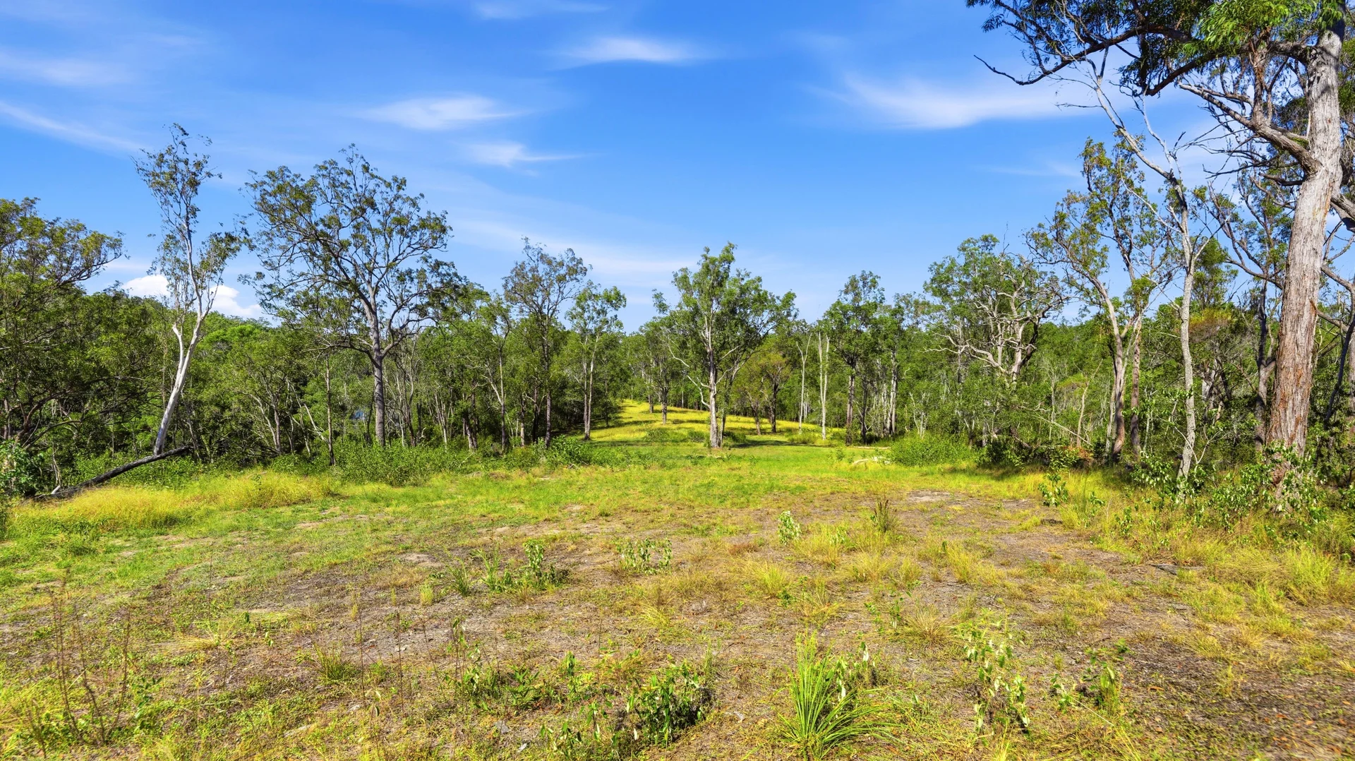 Additional image 13 of 449 Meyers Road, Ramornie NSW 2460