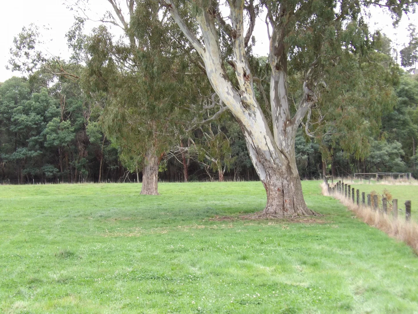 Additional image 7 of 53 Burns Road, Glenburn VIC 3717