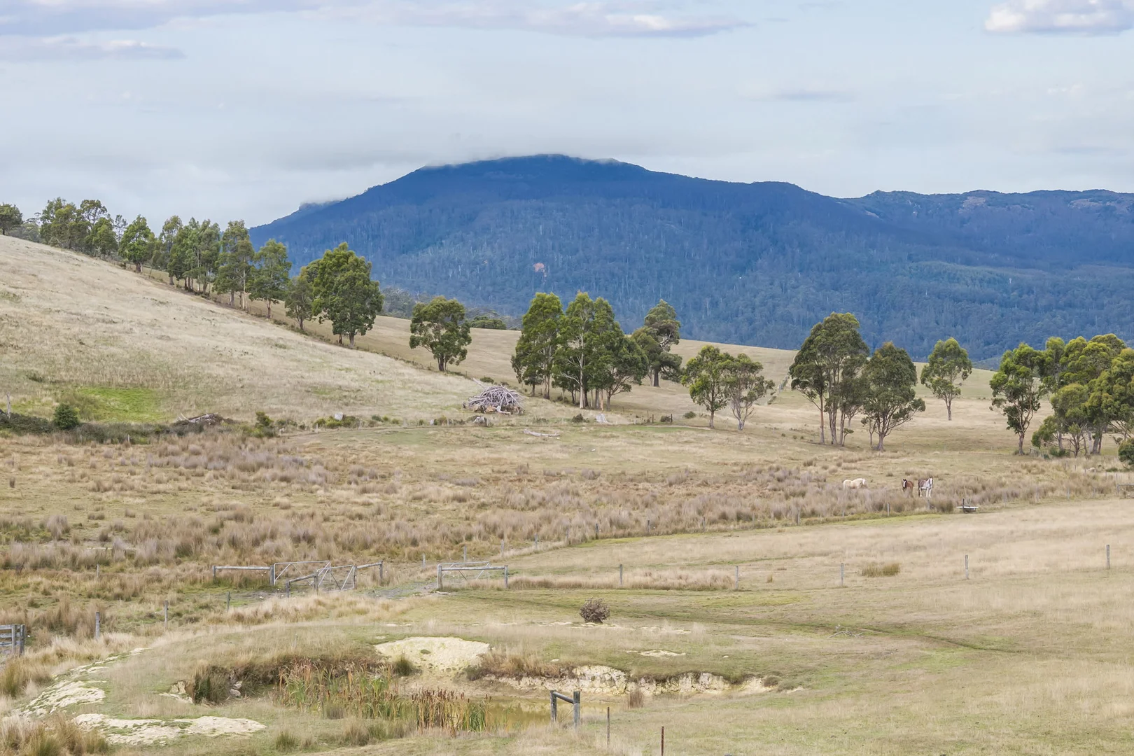 Additional image 22 of 38485 Tasman Highway, Targa TAS 7259