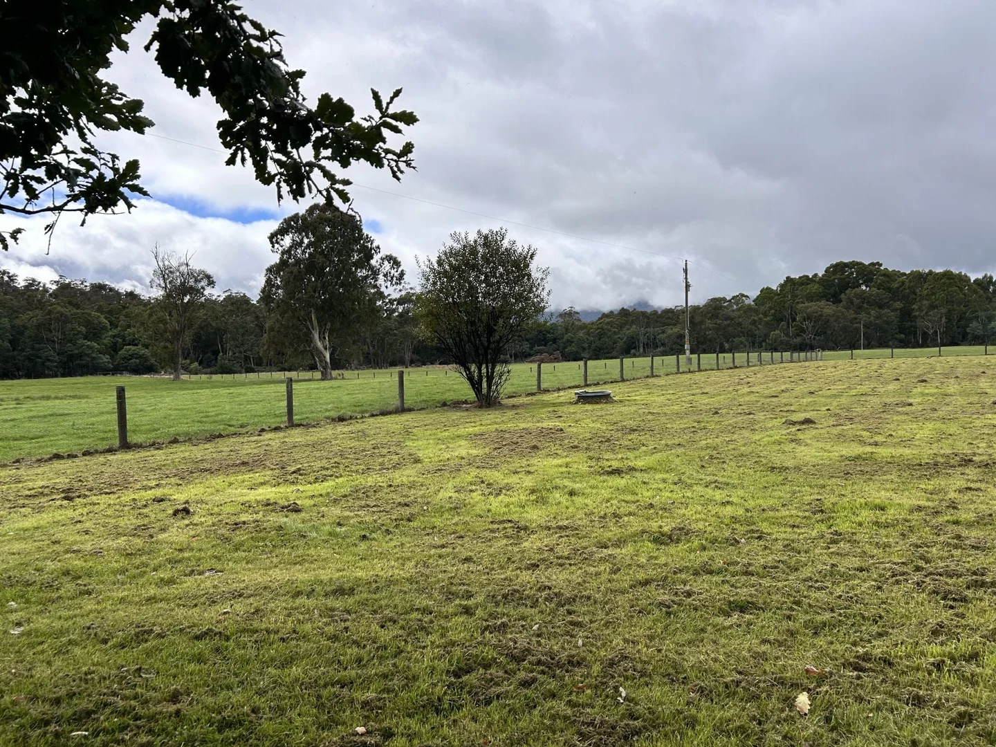 Additional image 12 of 53 Burns Road, Glenburn VIC 3717