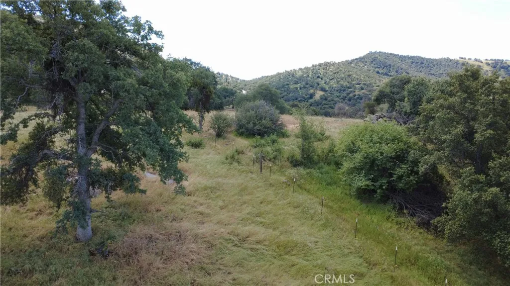 Additional image 136 of 39569 Clover Ln, Squaw Valley, CA 93675