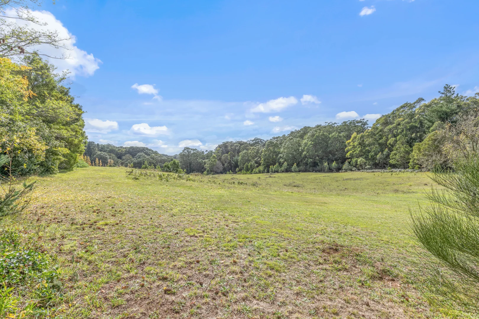 Additional image 11 of 1231 Sunny Corner Road, Sunny Corner NSW 2795