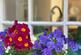 Additional image 24 of Rowan Cottage, The Cobbles, Kinnesswood, KY13