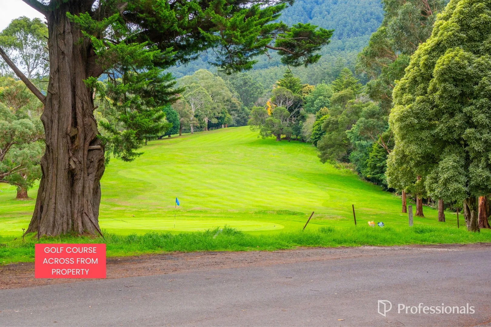 Additional image 23 of 15 Martyr Road, Warburton VIC 3799