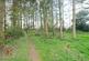 Additional image 15 of Hob Lane, Balsall Common, CV7