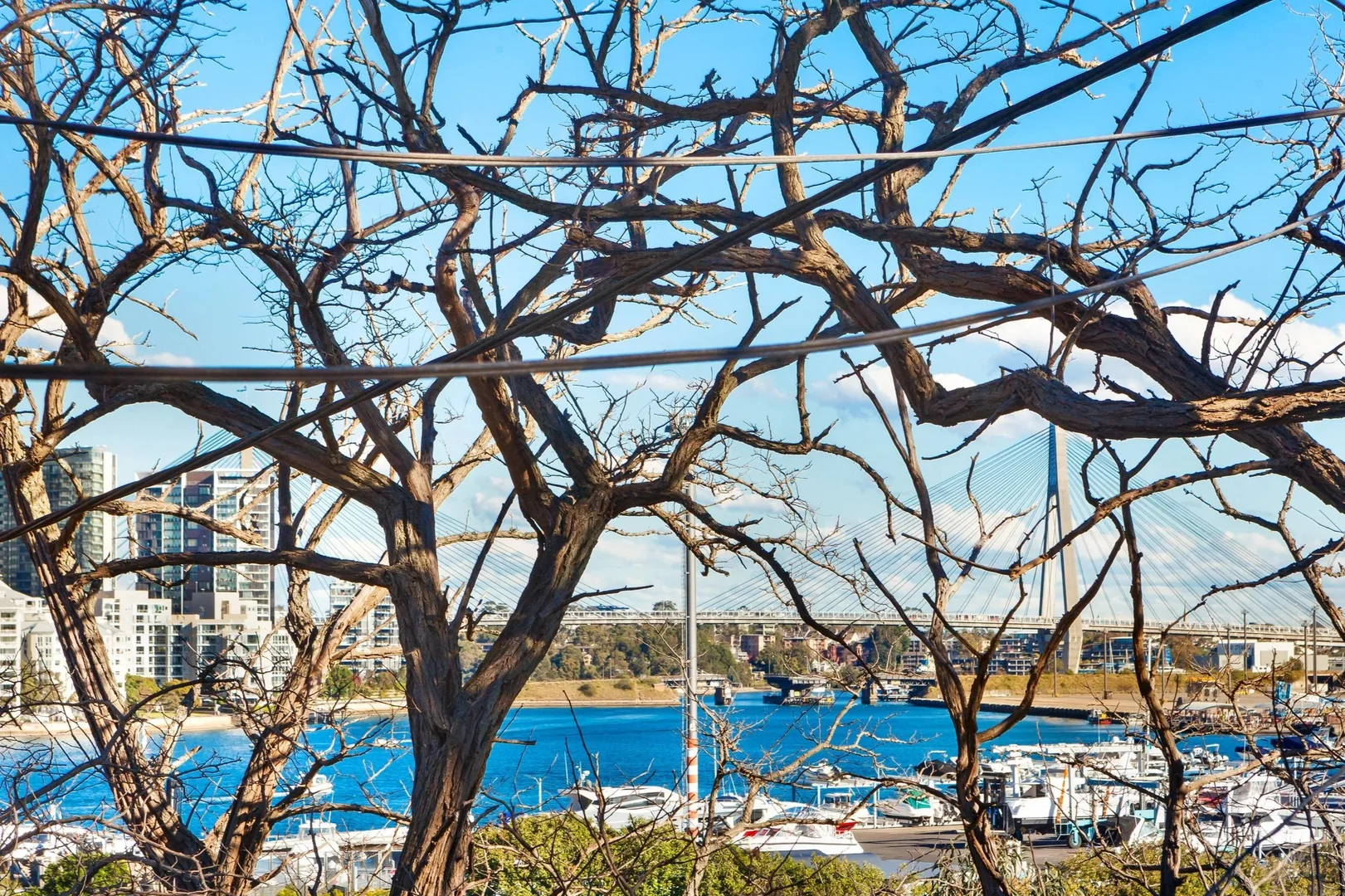 Additional image 8 of 14 Datchett Street, Balmain East NSW 2041