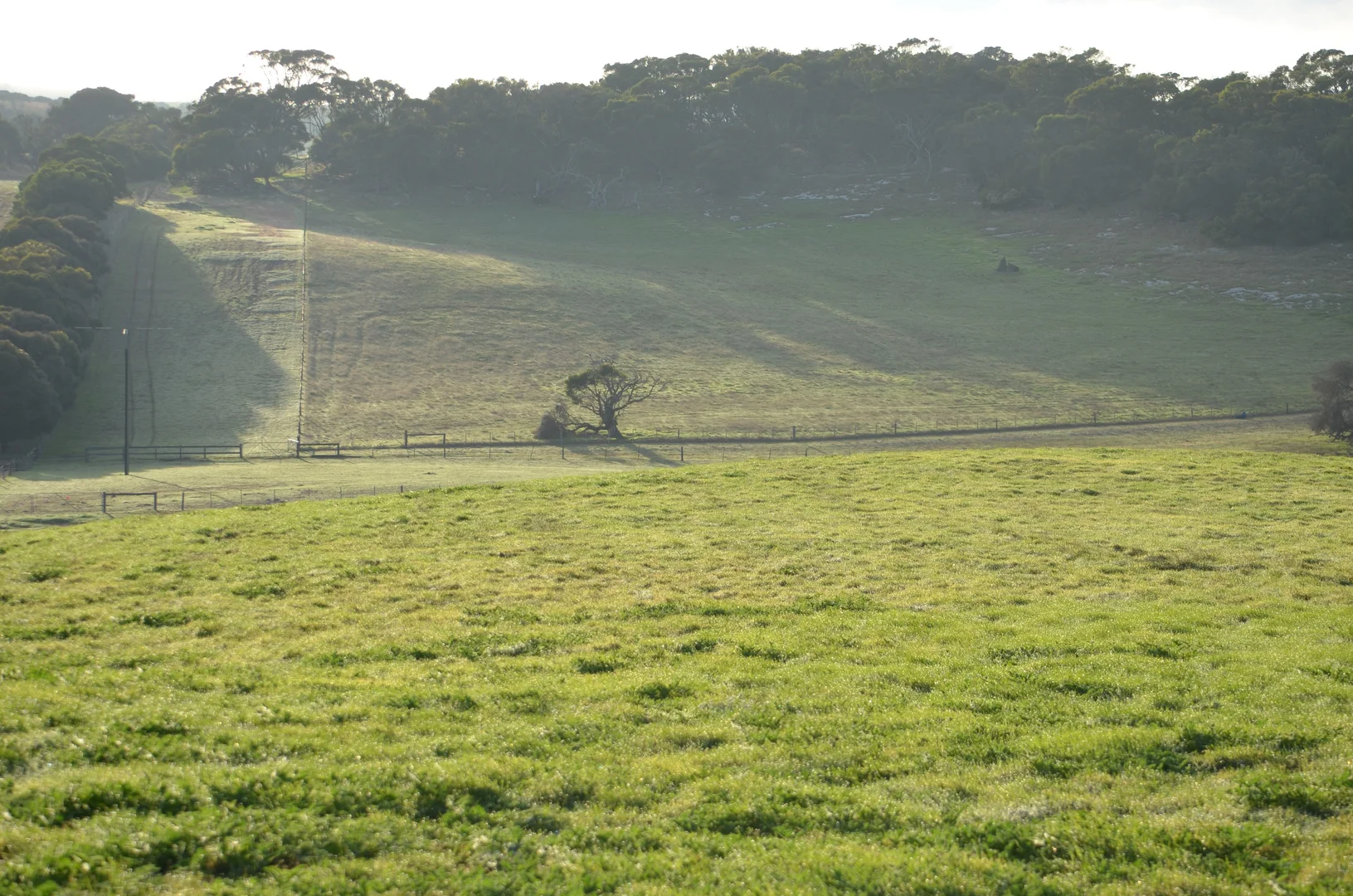 Additional image 23 of Southern Ports Highway, Mount Benson SA 5275