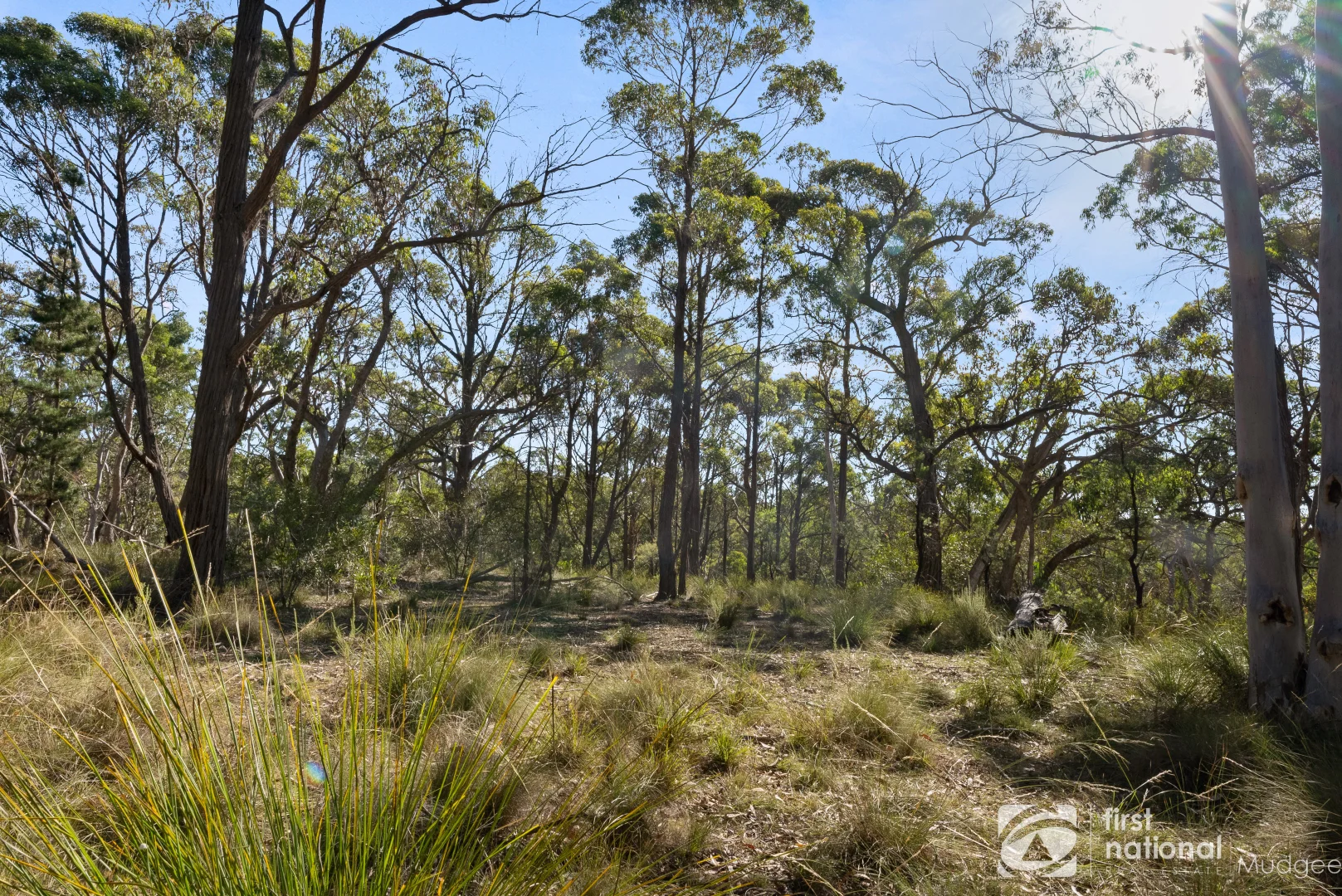 Additional image 14 of 114 Nangawooka Road, Mudgee NSW 2850