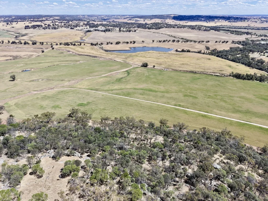 Additional image 11 of Butchers Road, Dale WA 6304