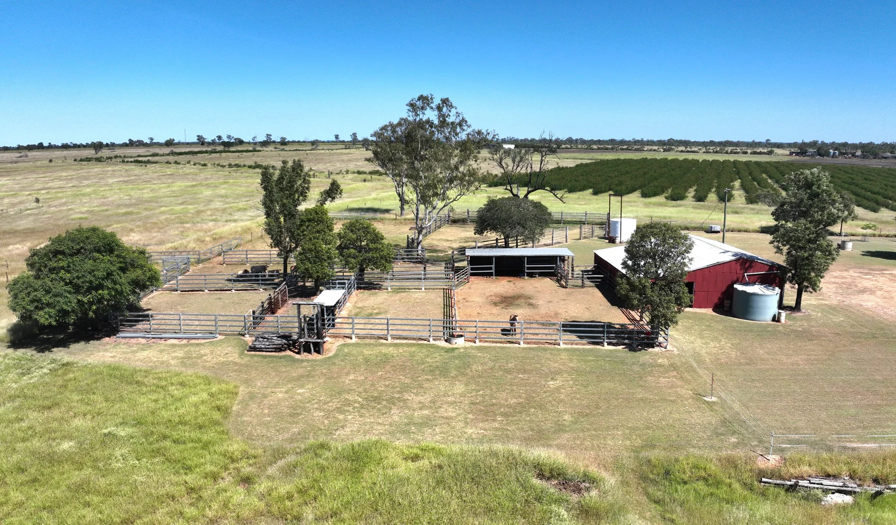 Additional image 3 of 338 Cheeseborough Rd, Clermont QLD 4721