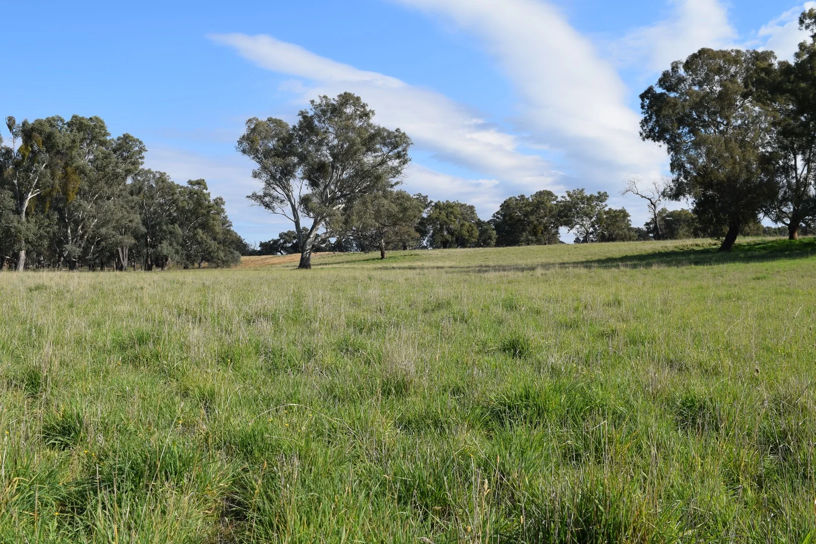 lot 5/3905 Riverina Highway, Bungowannah NSW 2640