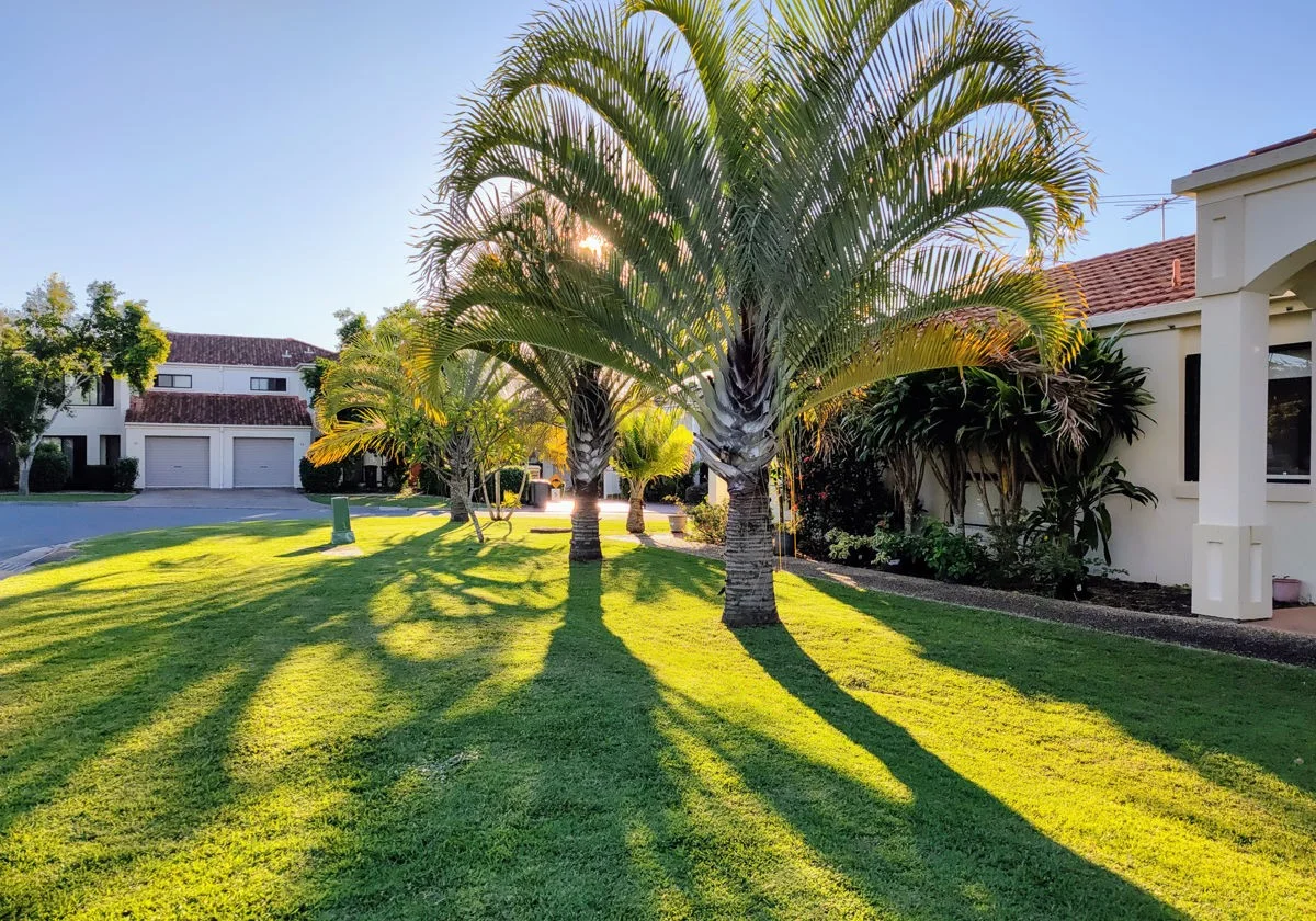 Additional image 19 of 10/88 Menser Street, Calamvale QLD 4116
