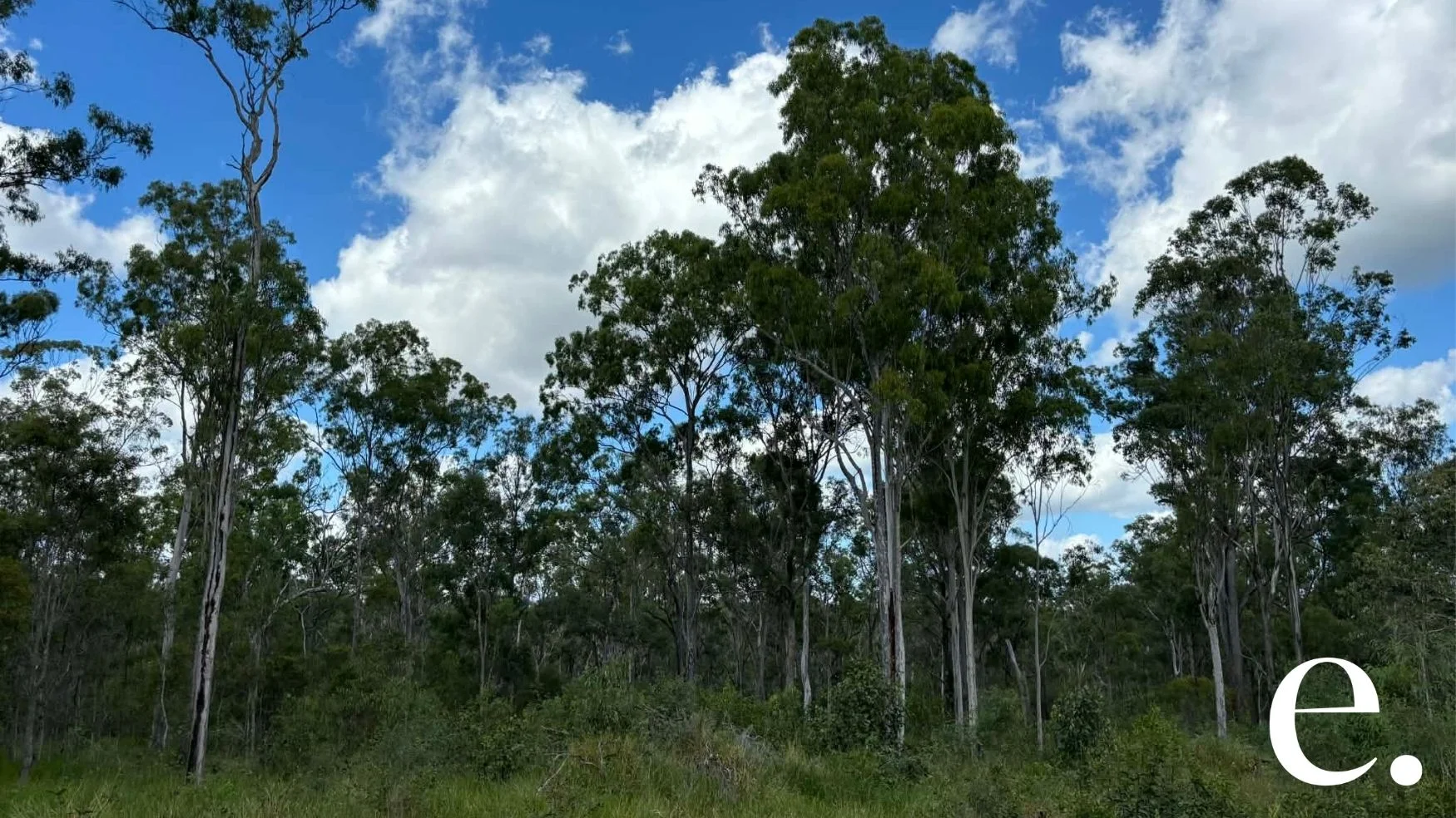 Additional image 4 of 42 Billabong Way, Bucca QLD 4670