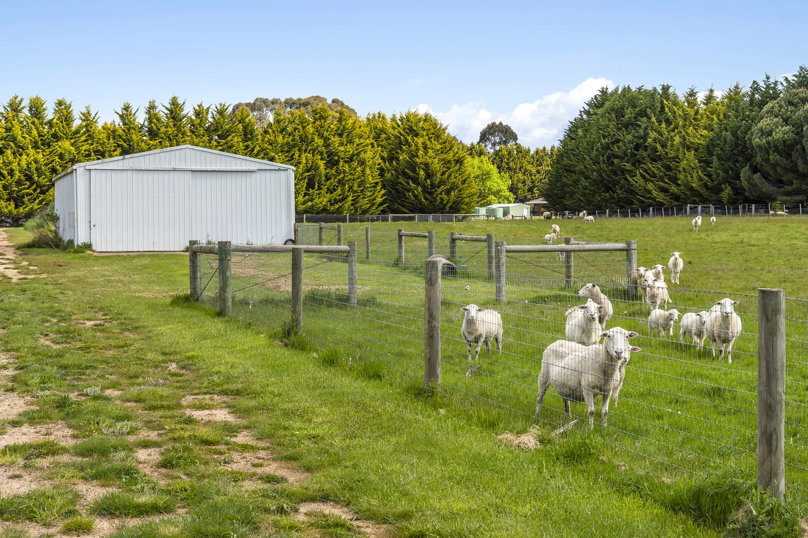 Additional image 7 of 98 Kronks Lane, Woodend VIC 3442