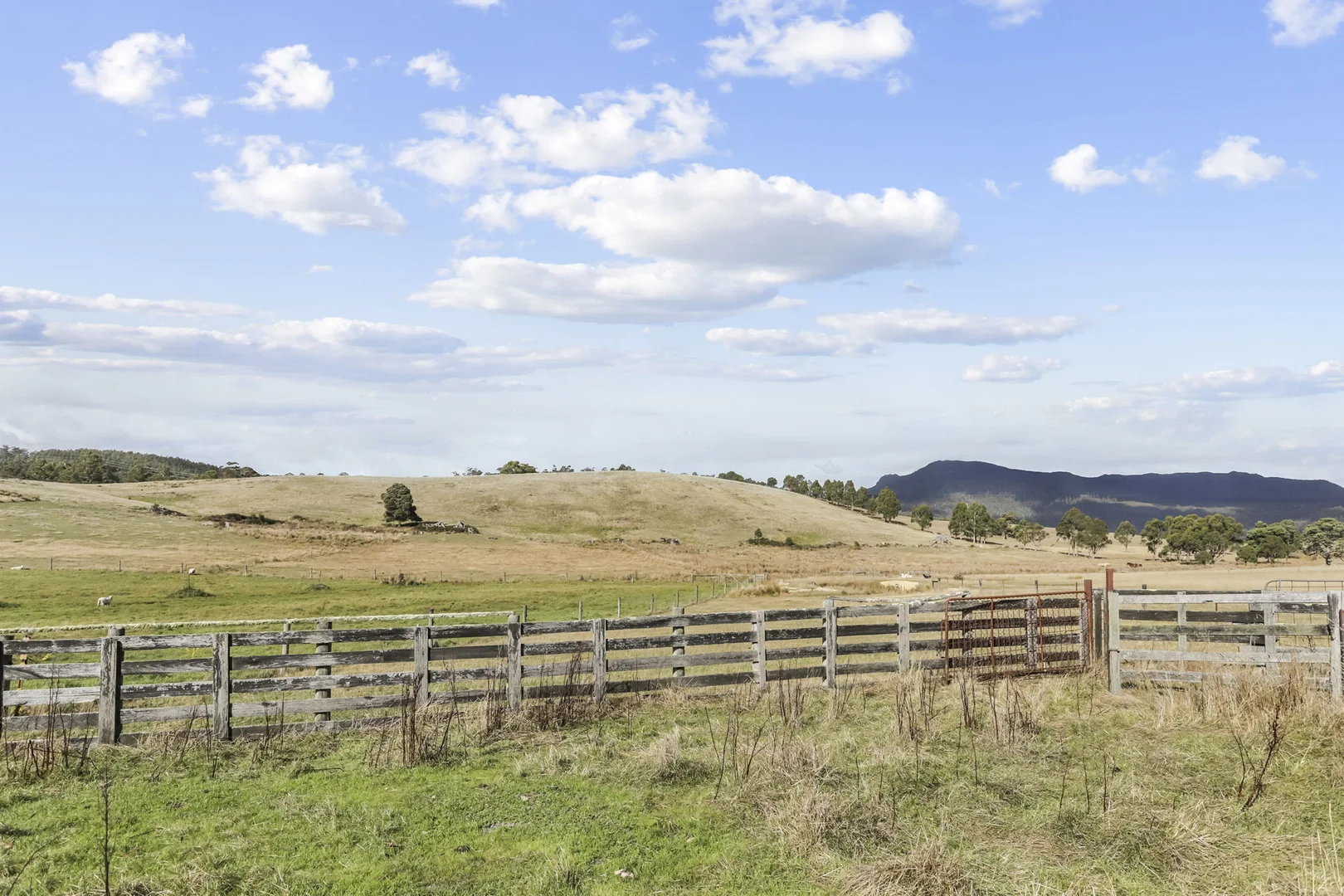 Additional image 28 of 38485 Tasman Highway, Targa TAS 7259