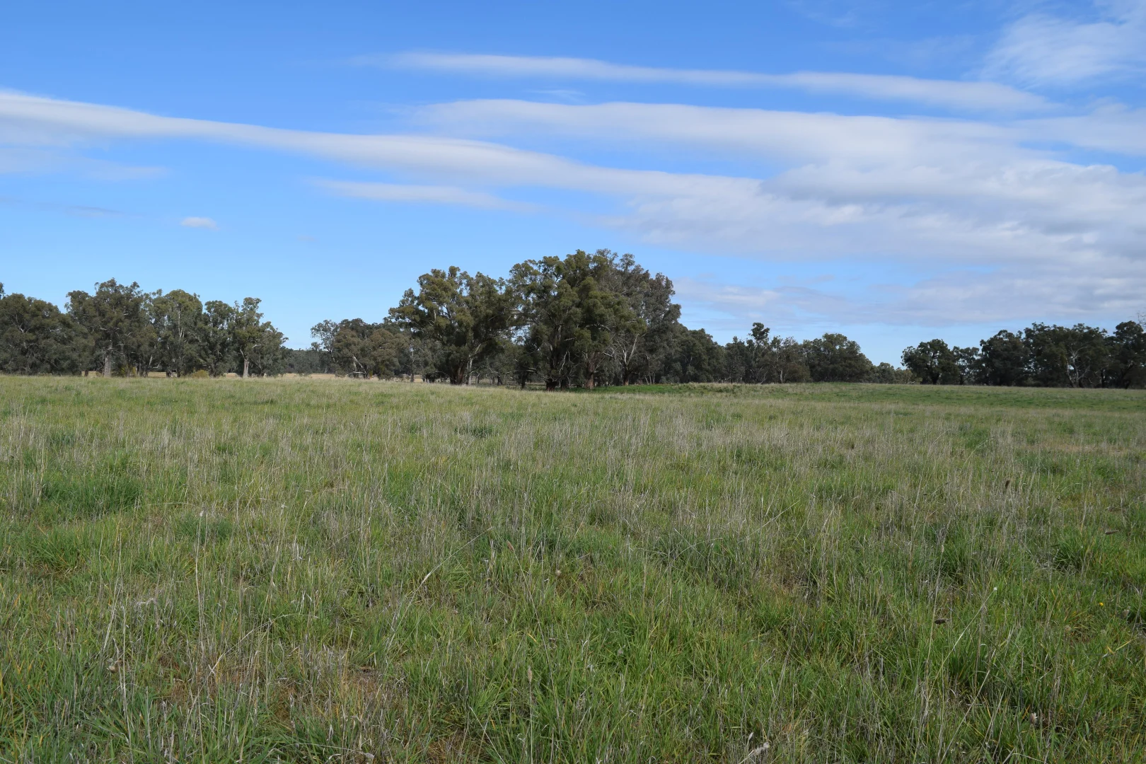 Additional image 7 of lot 5/3905 Riverina Highway, Bungowannah NSW 2640