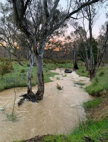 Additional image 20 of 580 The Bridle Track, Glenaroua VIC 3764