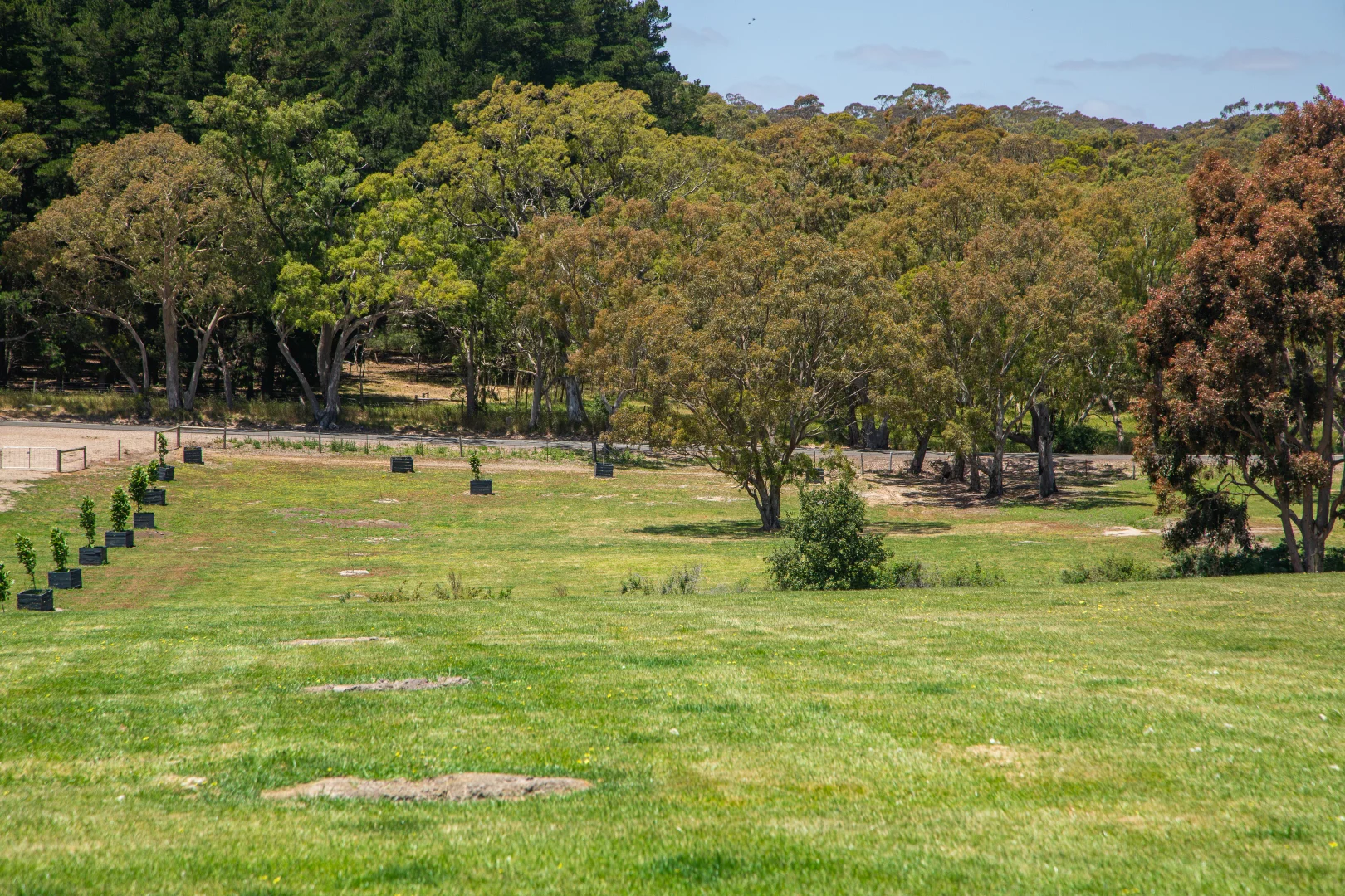 Additional image 4 of 764 (Lot 105) Flaxley Road, Flaxley SA 5153