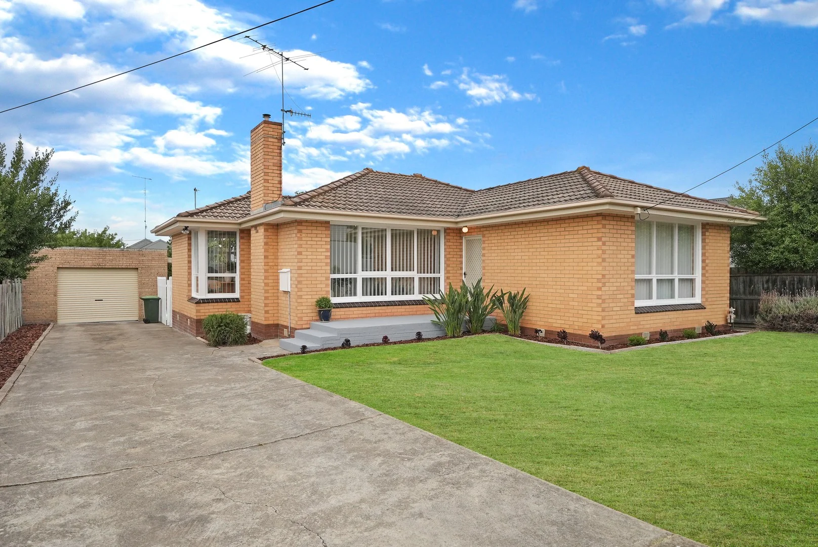 53 Buckingham Road, Newtown VIC 3220