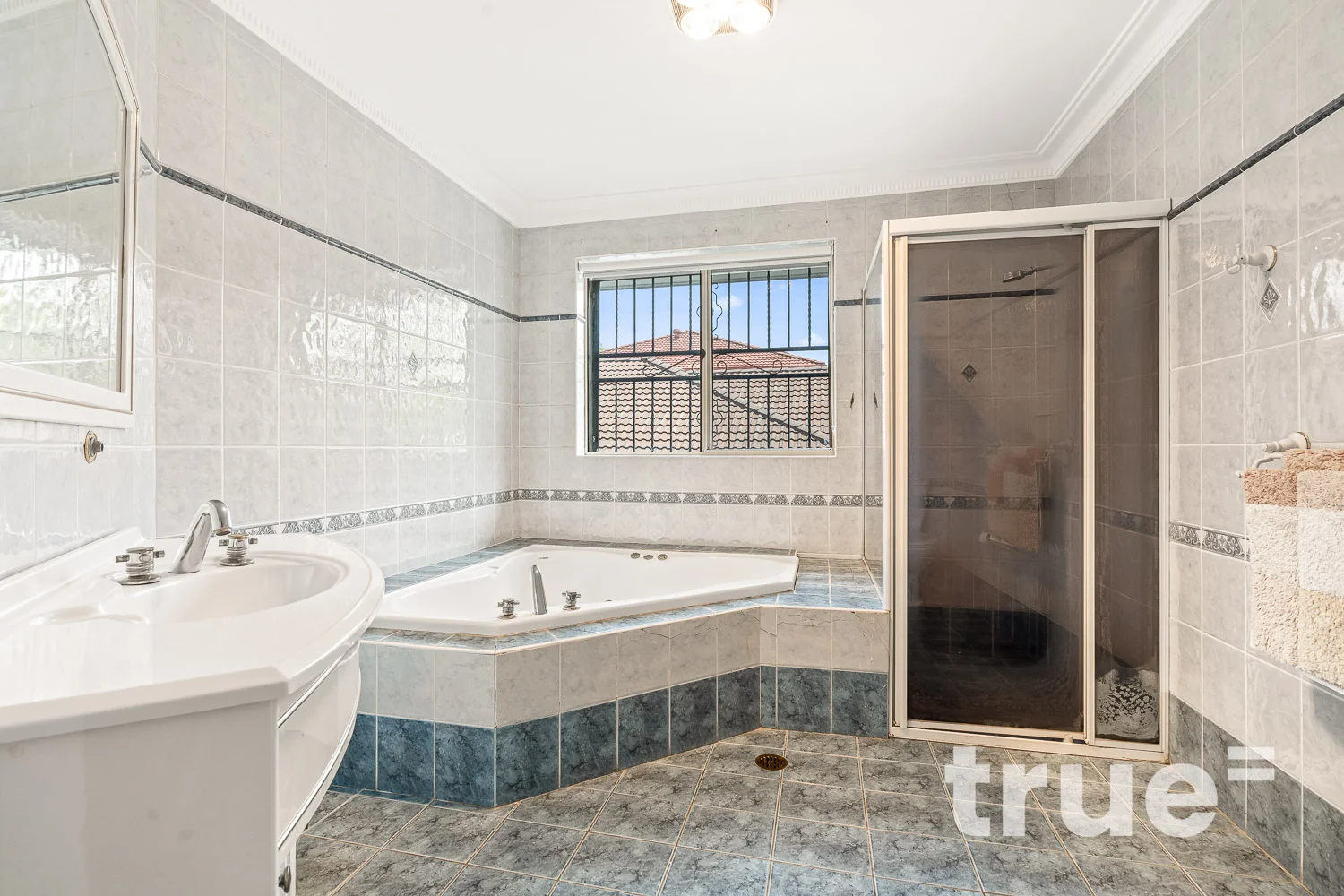 Additional image 9 of 41 Badgery Avenue, Homebush NSW 2140