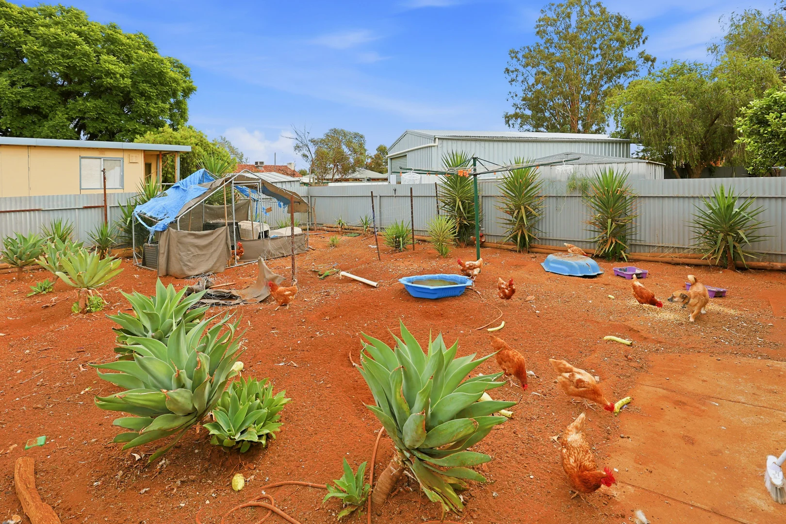 Additional image 9 of 6 Loddon Avenue, Red Cliffs VIC 3496