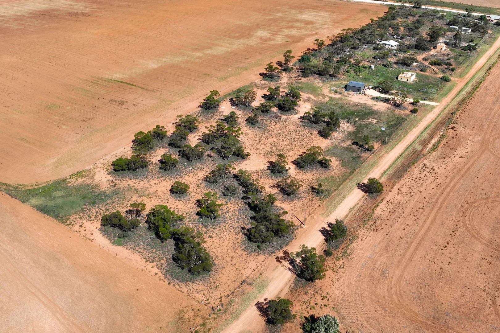 Additional image 5 of Lots 6-11 Crase Road, Loxton SA 5333