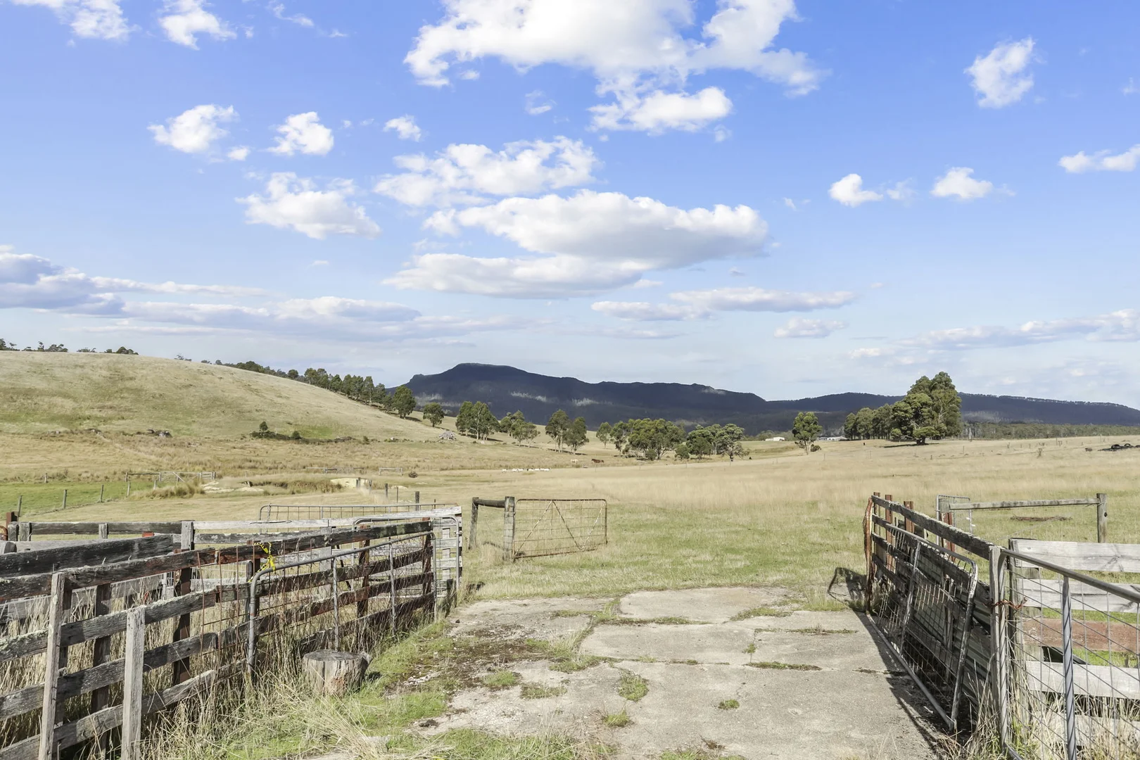 Additional image 23 of 38485 Tasman Highway, Targa TAS 7259