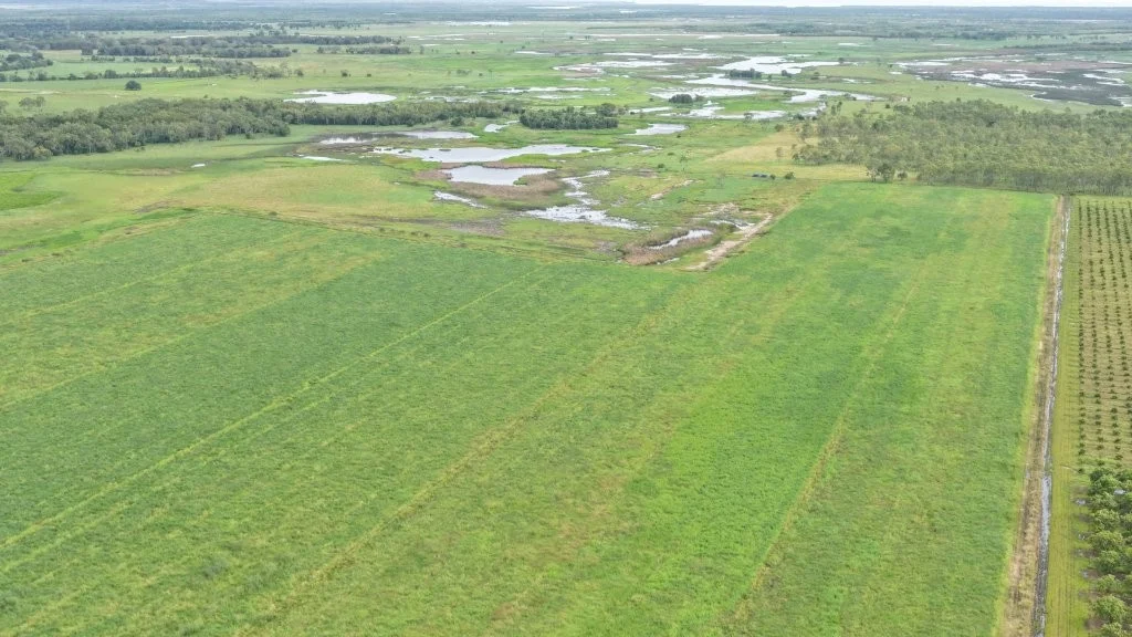 Additional image 17 of Giru QLD 4809
