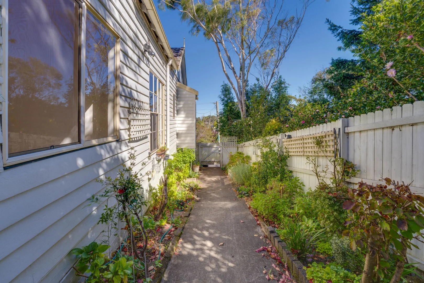 Additional image 16 of 14 Lett Street, Katoomba NSW 2780