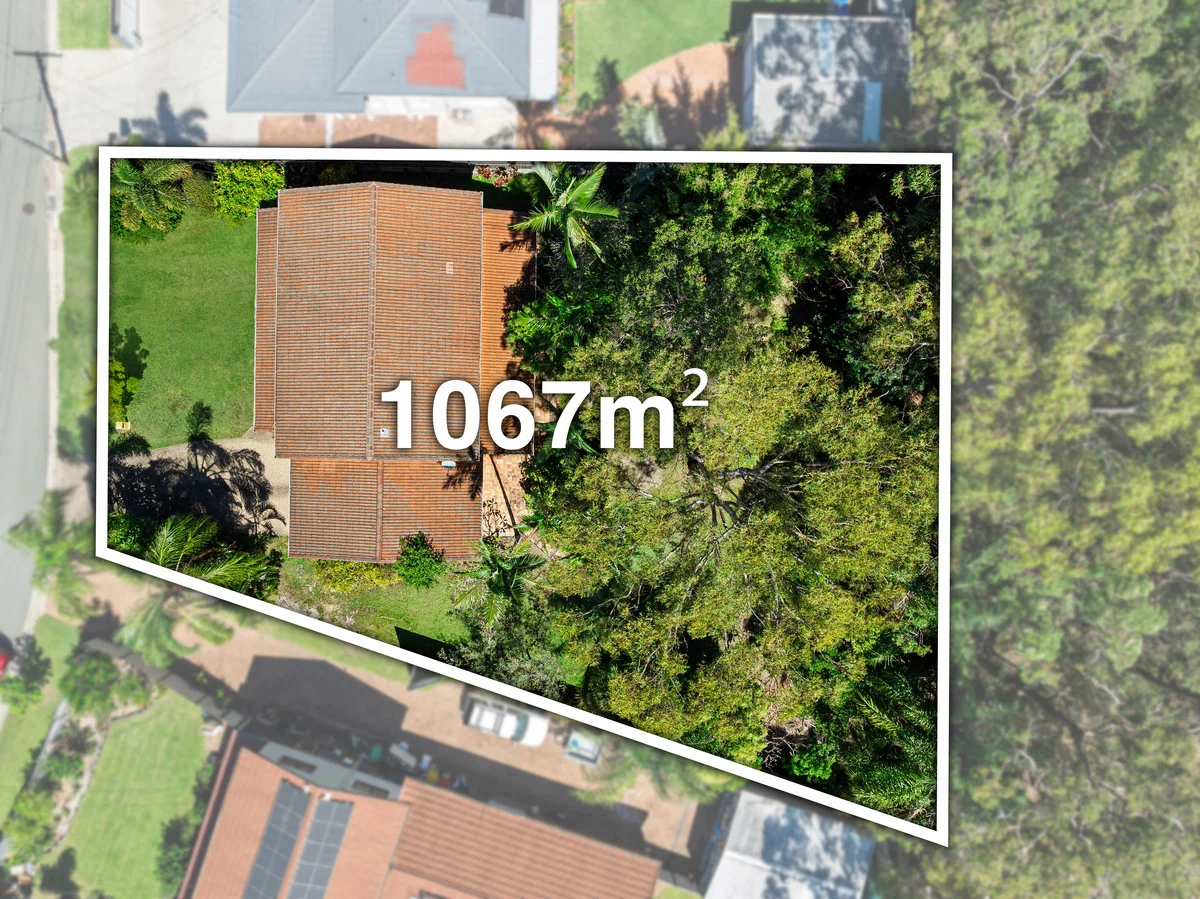 4 Peacock Court, Birkdale QLD 4159