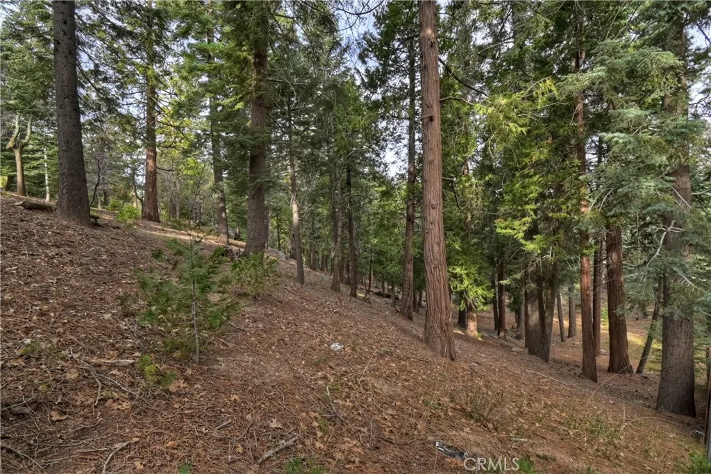 Additional image 43 of 696 Rose Lane, Twin Peaks, CA 92391