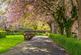 Additional image 33 of Trinity Crescent, Edinburgh EH5