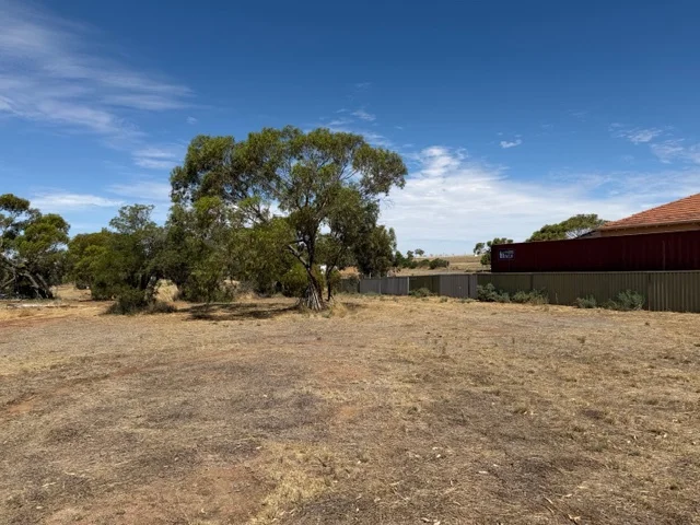 Additional image 2 of 14 Fogarty Street, Mingenew WA 6522