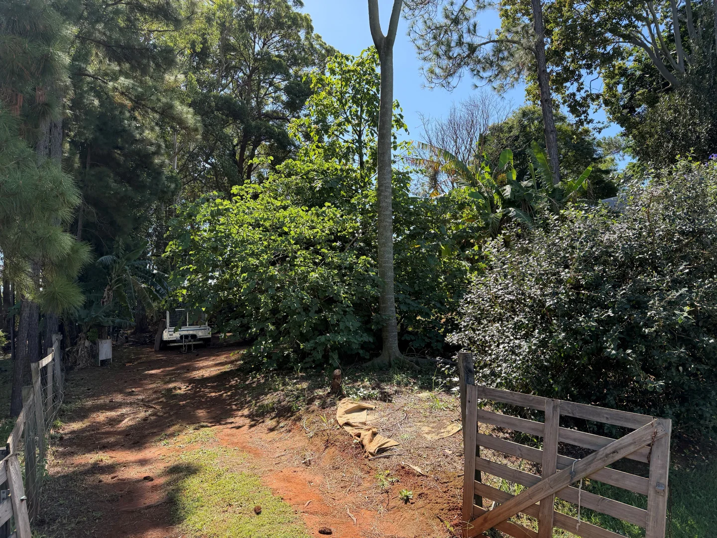 Additional image 7 of 7 Judith Street, Russell Island QLD 4184