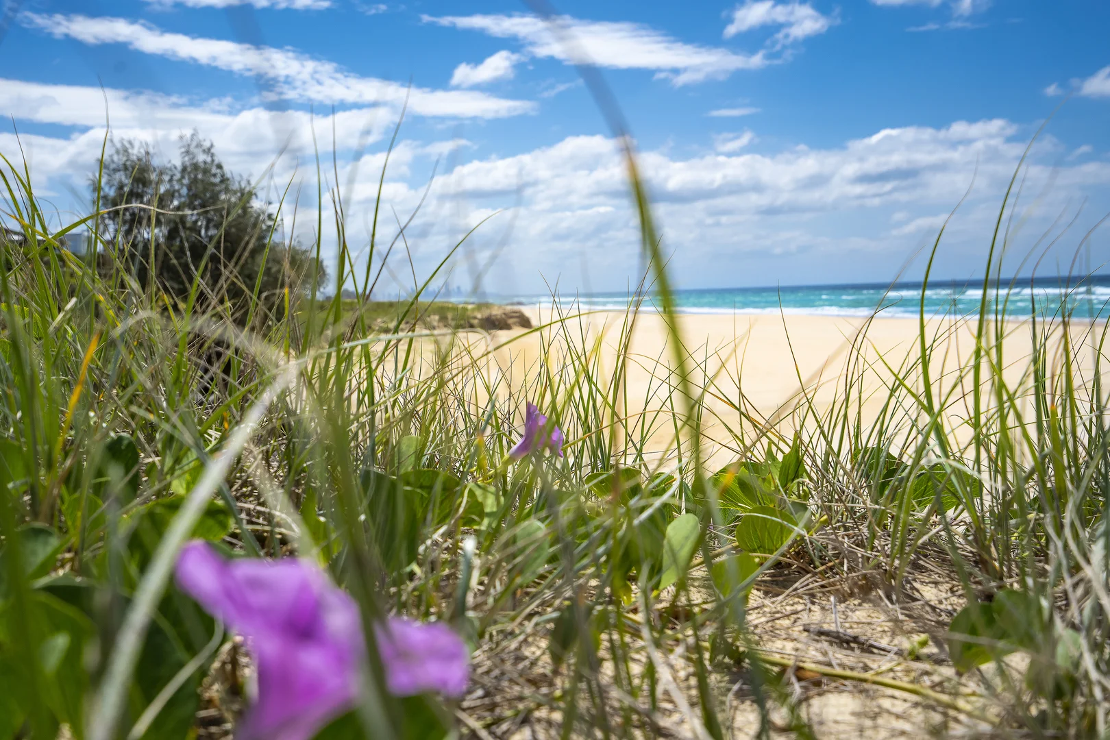 Additional image 30 of 2/41 Marion Street, Tugun QLD 4224