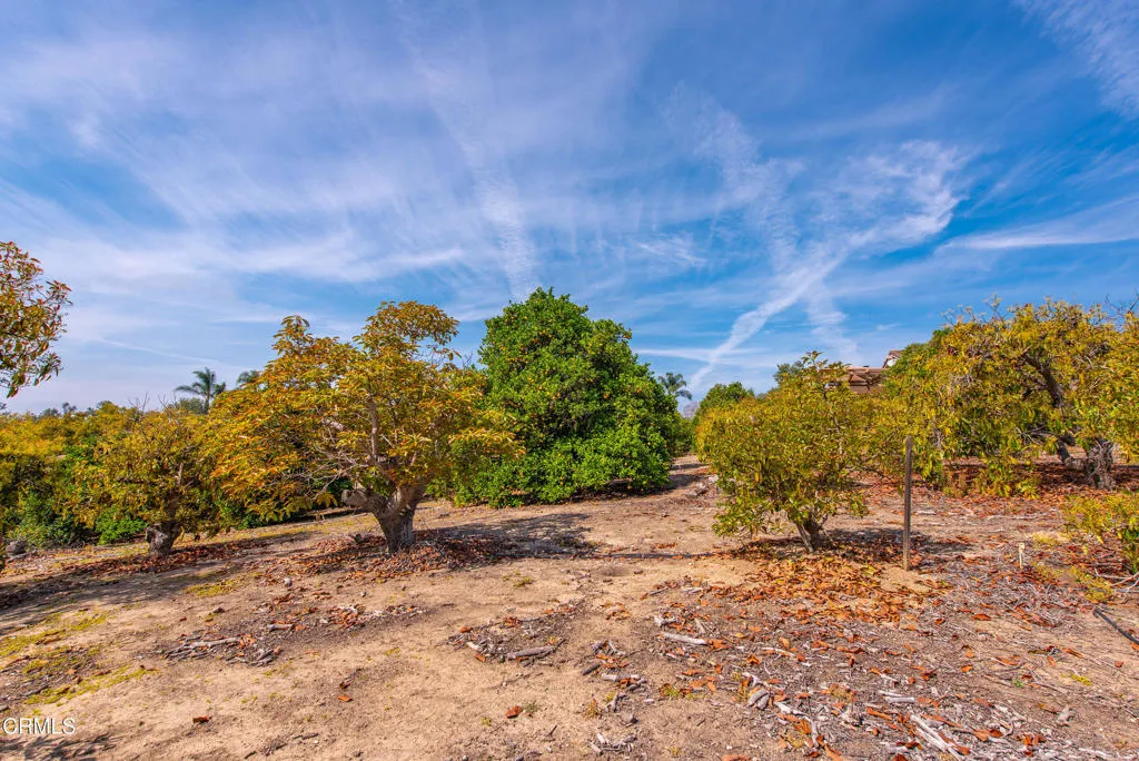 Additional image 107 of 5275 N Creston Lane, Somis, CA 93066