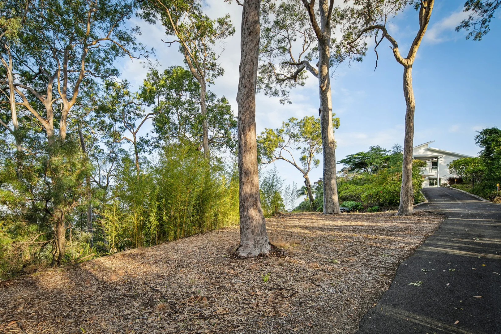 Additional image 17 of 205 Beechmont Road, Advancetown QLD 4211