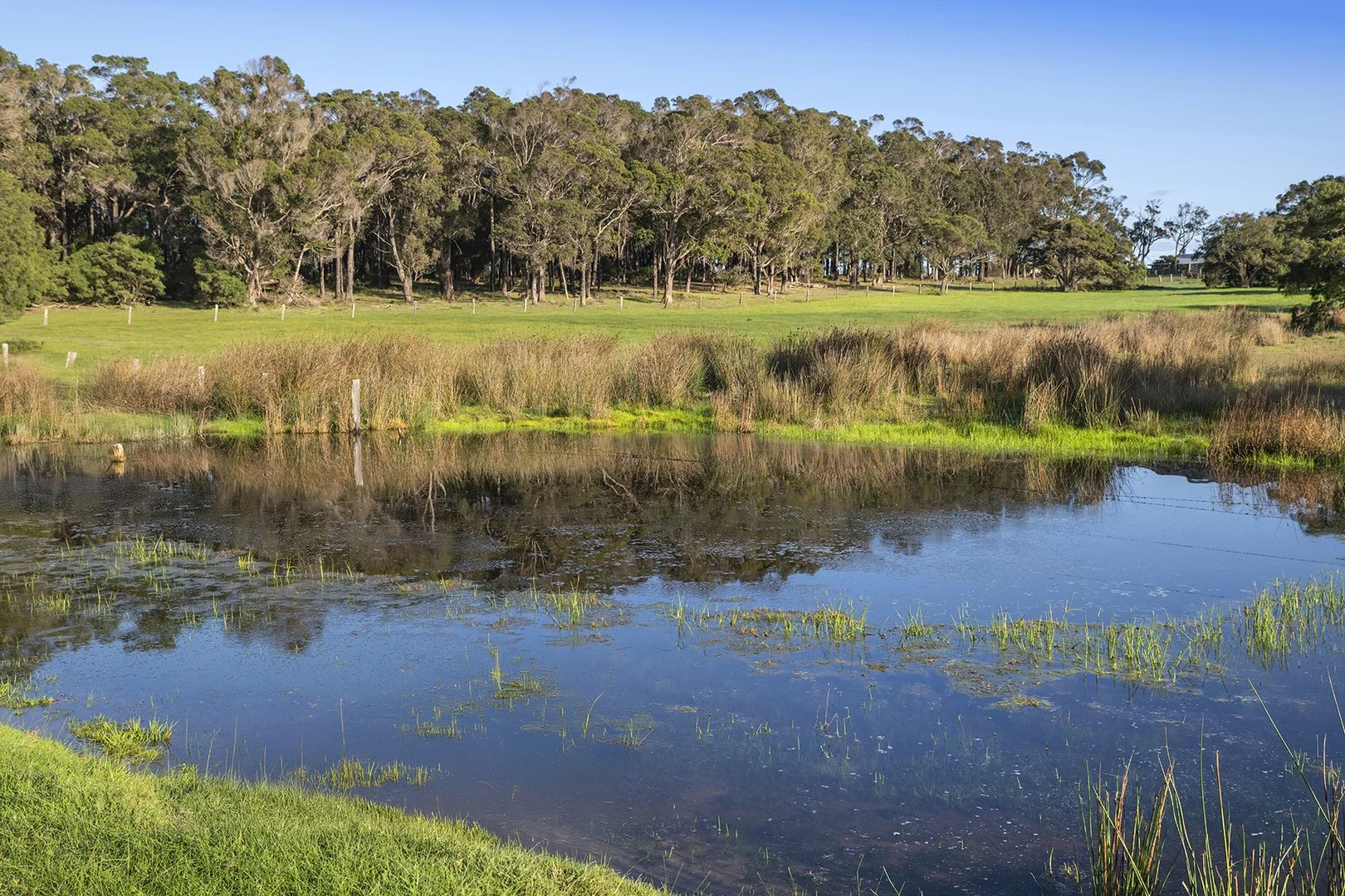 Additional image 3 of Lot 45 Blackwood Grove, Kudardup WA 6290