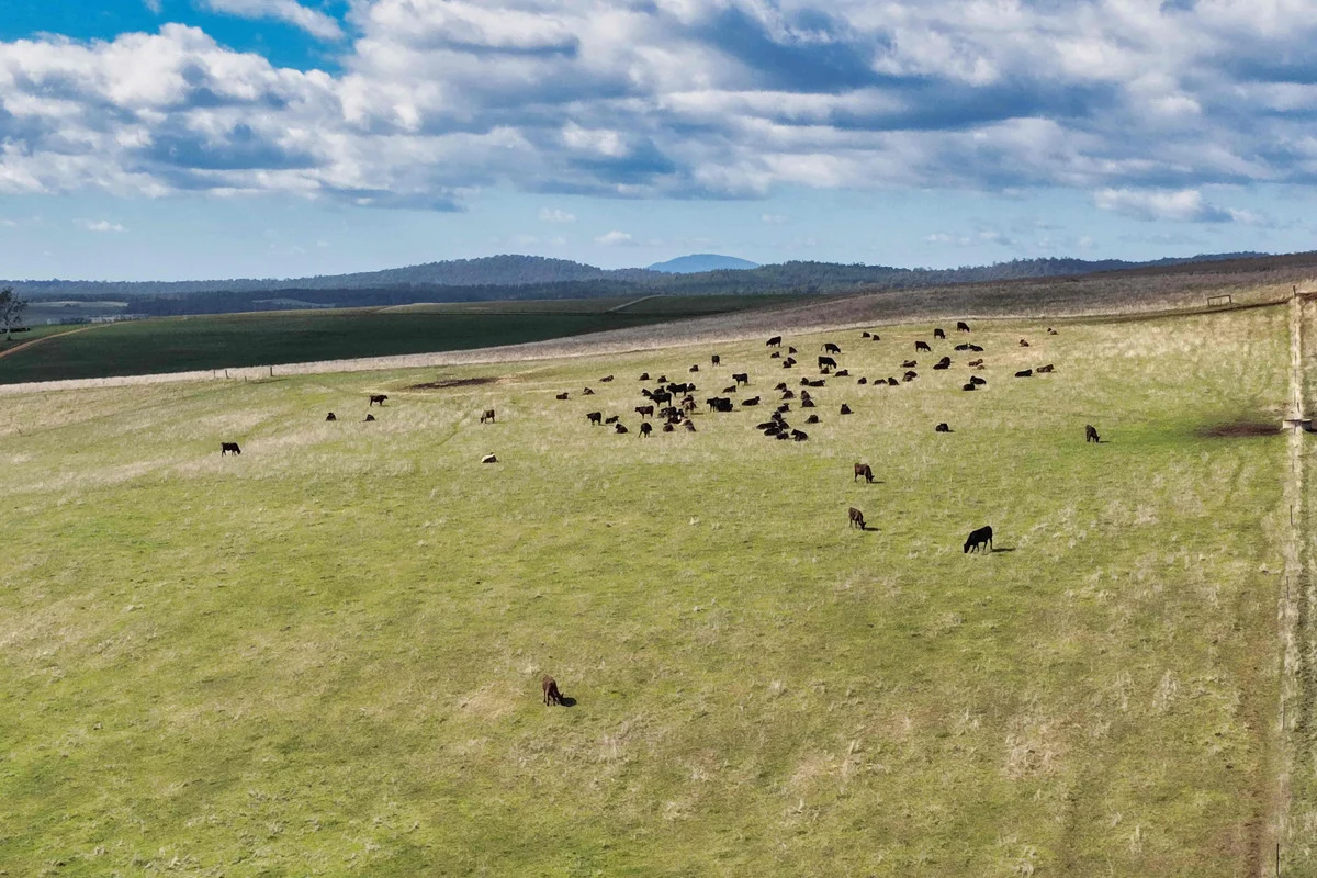 Additional image 7 of 985 Ferny Hill Road, Bridport TAS 7262
