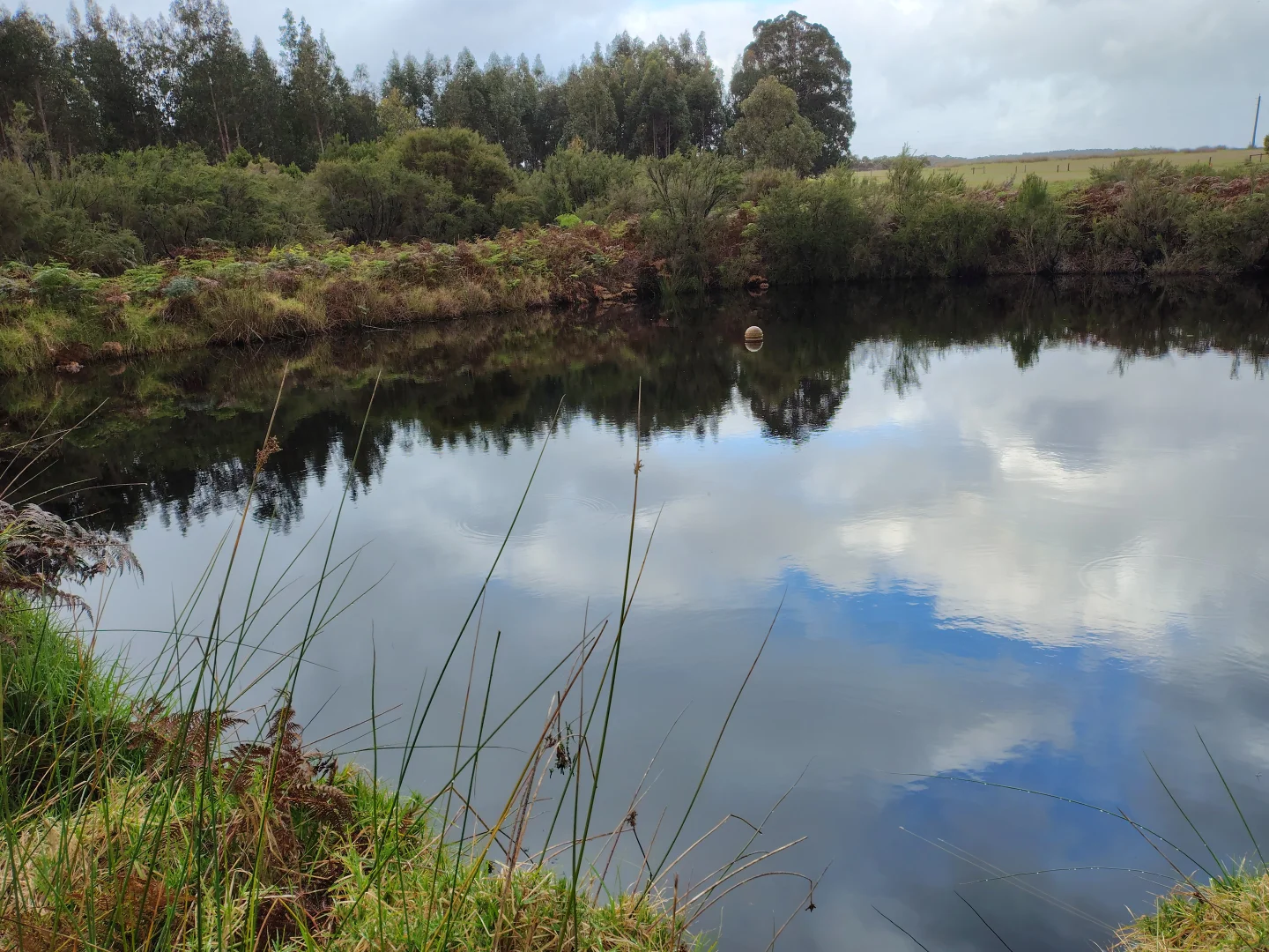 Additional image 33 of 1401, 6405 South Coast Highway, Nornalup WA 6333