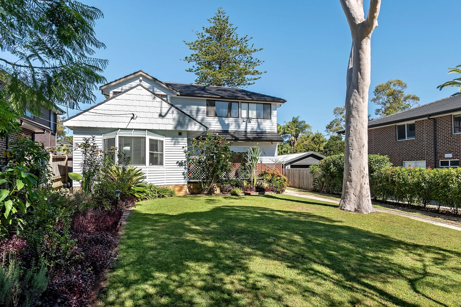 Additional image 3 of 19 Brown Street, Forestville NSW 2087