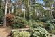 Additional image 36 of Ashley Drive South, Ashley Heath, BH24 2JU
