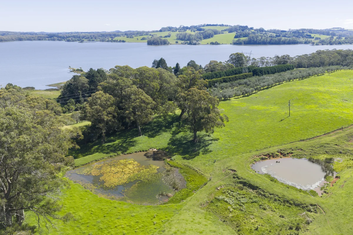 Additional image 9 of 305 Myra Vale Road, Wildes Meadow NSW 2577