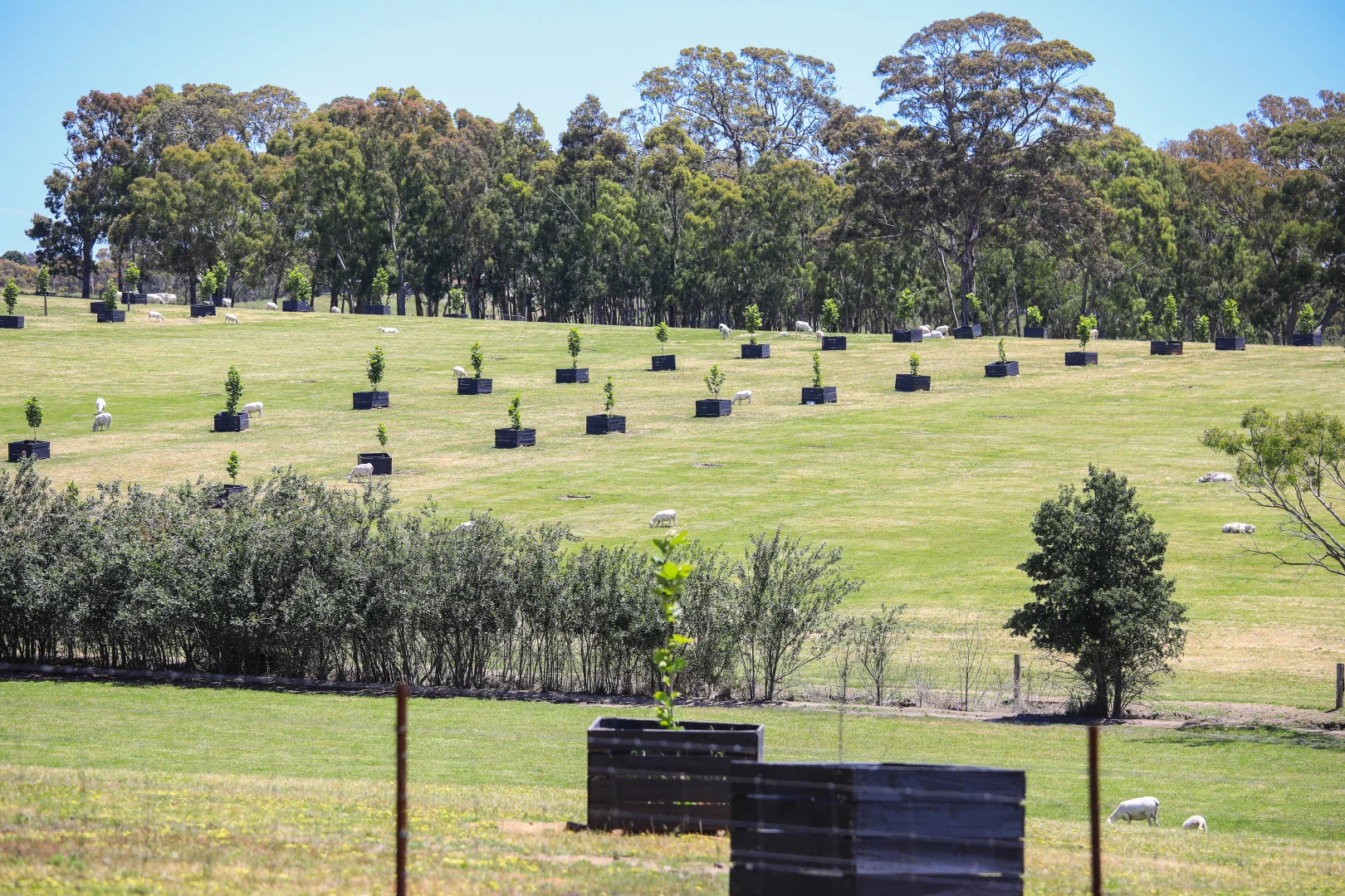 Additional image 7 of 764 (Lot 105) Flaxley Road, Flaxley SA 5153