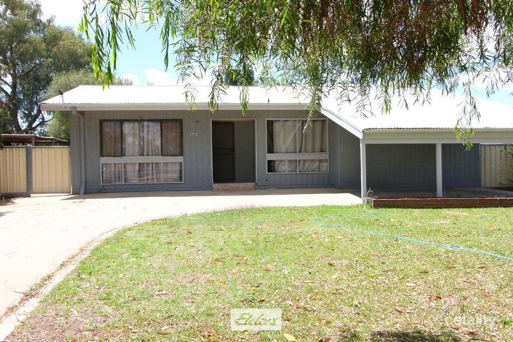 175 Adams Street, Wentworth NSW 2648