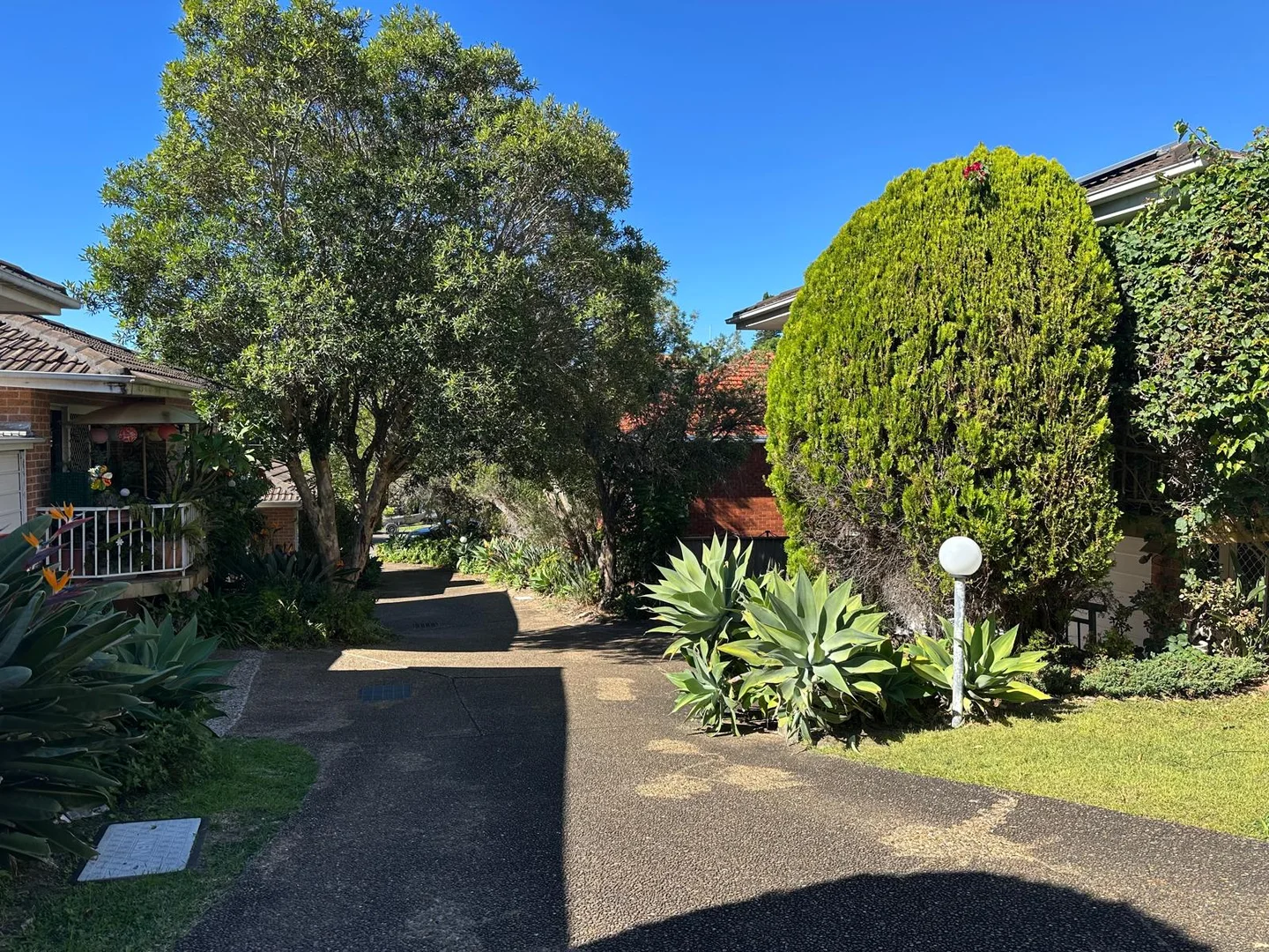 Additional image 18 of 5/22 Connemarra Street, Bexley NSW 2207