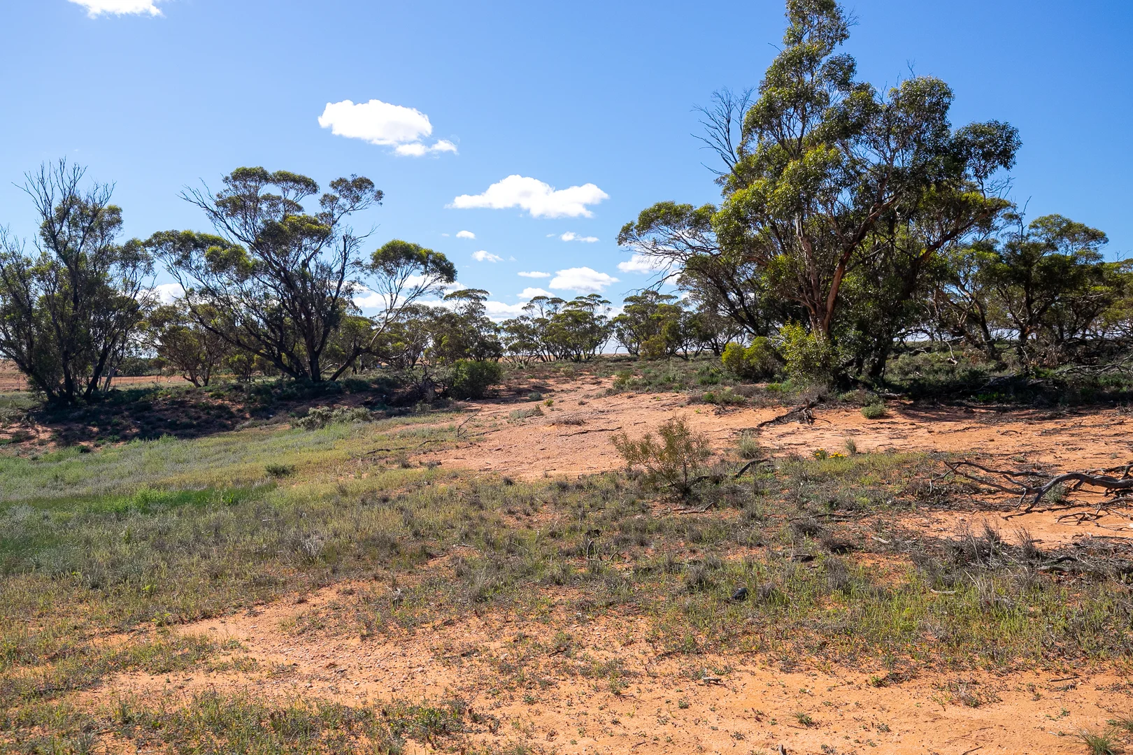 Additional image 15 of Lots 6-11 Crase Road, Loxton SA 5333