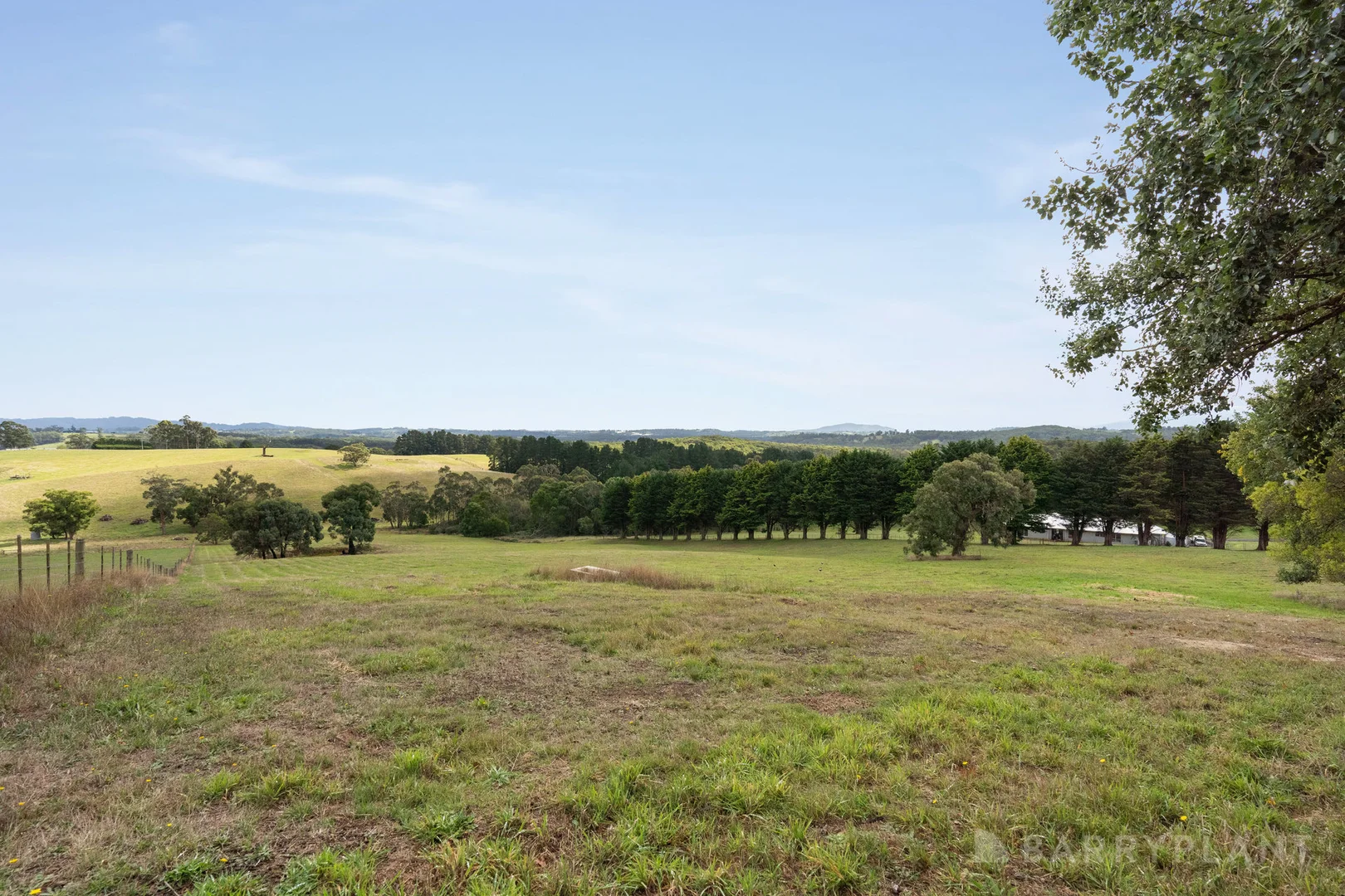 Additional image 22 of 191 Spillers Road, Macclesfield VIC 3782