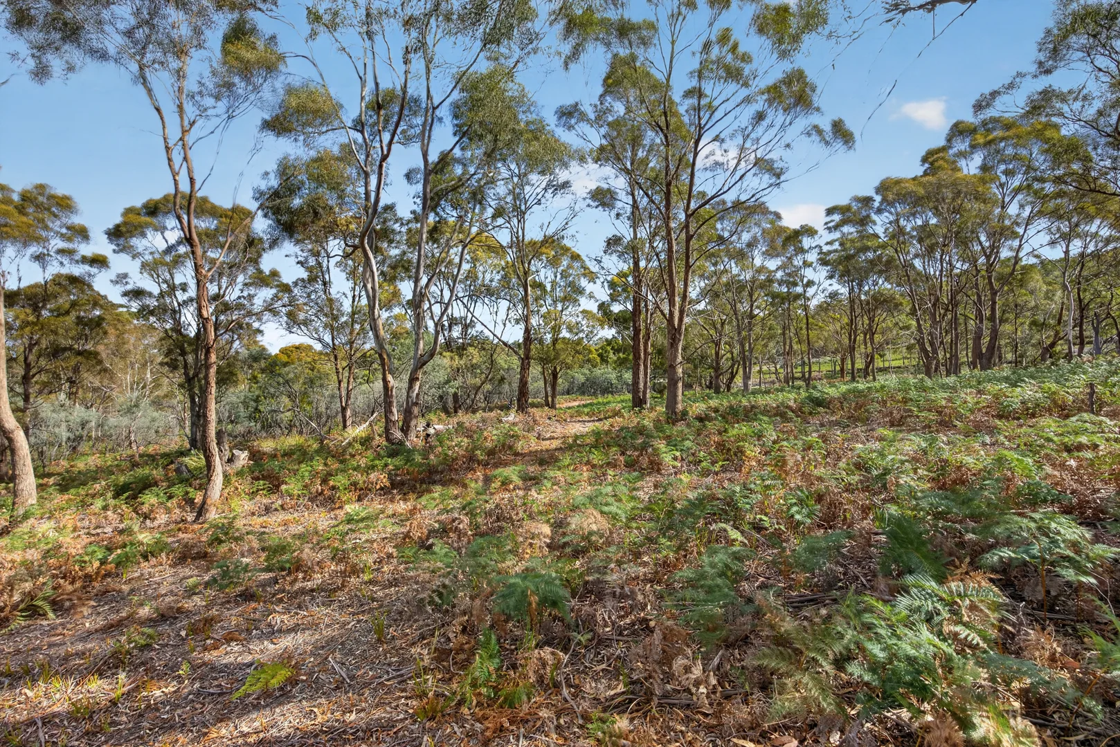 Additional image 6 of 183 Josephs Road, Carlton TAS 7173